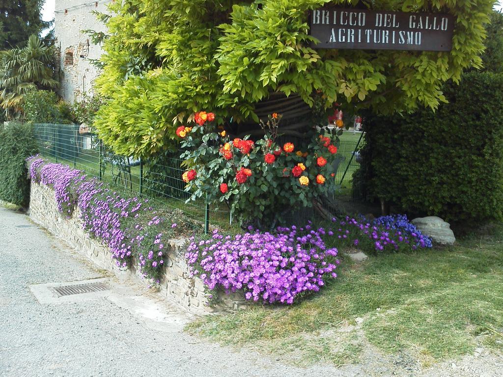 Bricco Del Gallo Sinio Exteriér fotografie